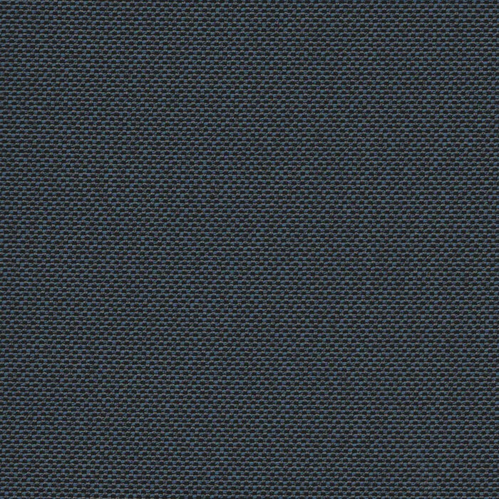 Black/Blue